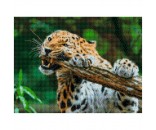 Набор для творчества Алмазная мозаика квадратная Свирепый леопард без подрамника 30*40см FW-002